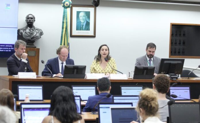 Audiência Pública - Desastre Ambiental no Rio Grande do Sul - Consequências e possíveis ações a serem adotadas. Coordenador de Políticas Socioambientais - Instituto Democracia e Sustentabilidade, Marcus Woortman; Presidente - Instituto Brasileiro do Meio Ambiente e dos Recursos Naturais Renováveis (IBAMA), Rodrigo Agostinho e Dep. Fernanda Melchionna (PSOL - RS)