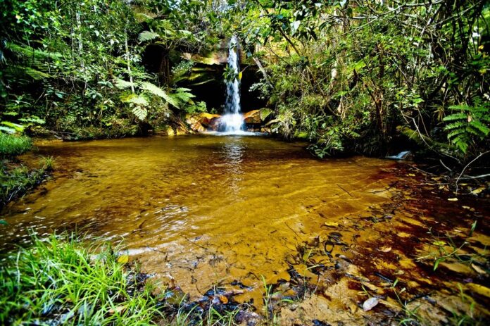 Pesquisadores desenvolvem aplicativo para mapear nascentes do Cerrado com apoio do Governo de MT