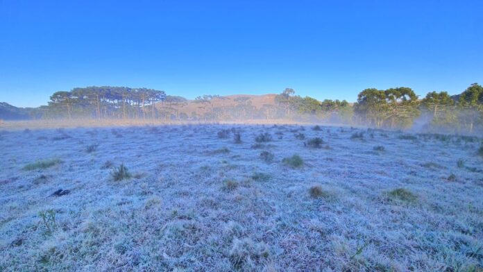 temperaturas, geada, neve