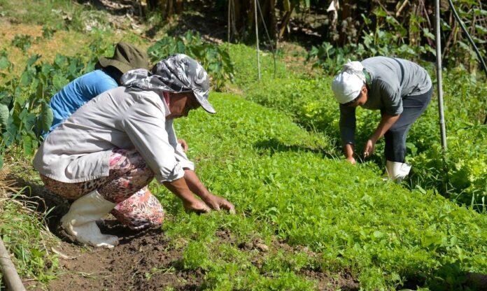 agro nas eleições 2022 - ocupações - agricultores - tomaz silva - agência brasil