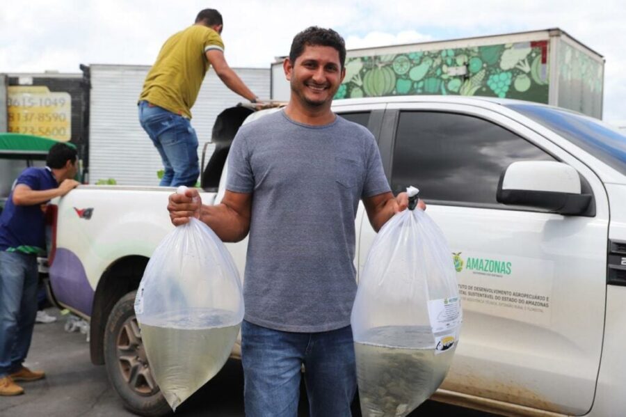 Peixes; alevinos