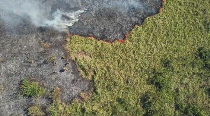 Bombeiros combatem incêndios no Pantanal de Mato Grosso do Sul. — Foto: CBMMS/Reprodução