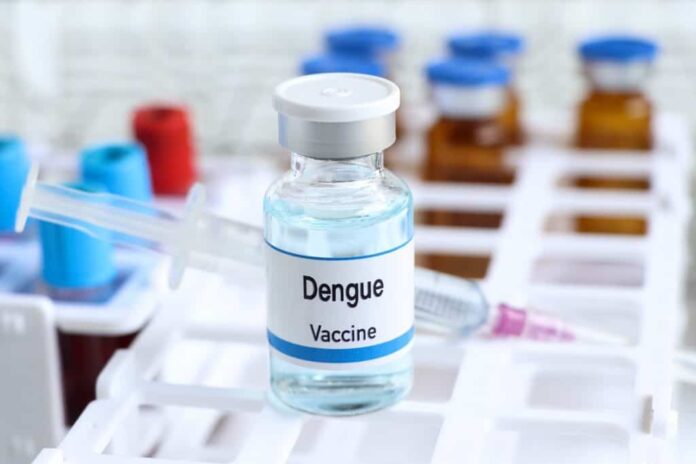 vacina da dengue