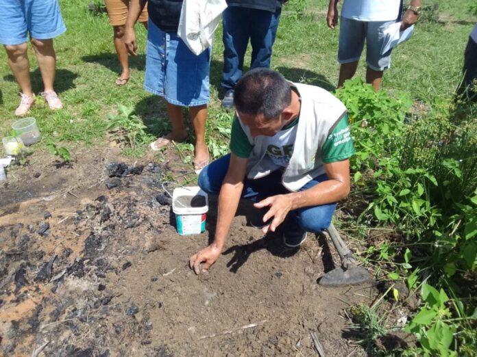 Governo do Amazonas; curso profissionalizante