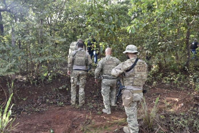 Policiais civis da Gerência de Operações Policiais participaram de 124 operações deflagradas em MT