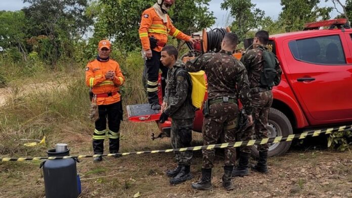 Corpo de Bombeiros capacitou 1,2 mil brigadistas para reforçar combate aos incêndios florestais