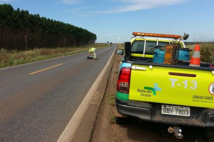 Corpo em decomposição é achado dentro de carro em mata