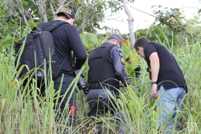 Homem vê fumaça em matagal e encontra corpo carbonziado