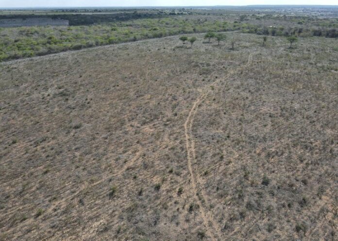 Ibama, desmatamento, fazenda