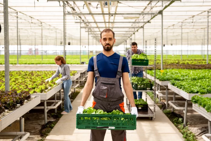 produtor rural em trabalho em estufa de produção de vegetais