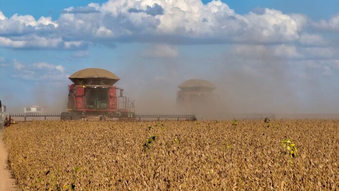 economia, pib do agro, agronegócio, bahia, soja, colheita, participação, agro