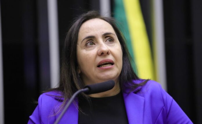 Deputada Adriana Ventura fala ao microfone