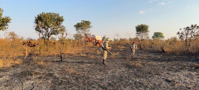 Corpo de Bombeiros Militar combate incêndio em vegetação às margens da rodovia MT-140