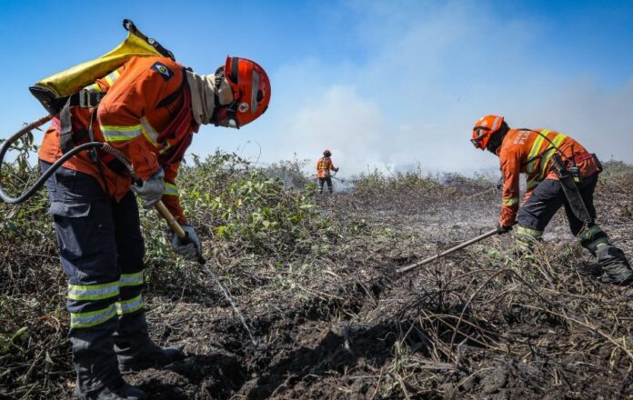 Corpo de Bombeiros extingue incêndio em Alto Araguaia e combate outros 16 em MT nesta quinta-feira (1º)