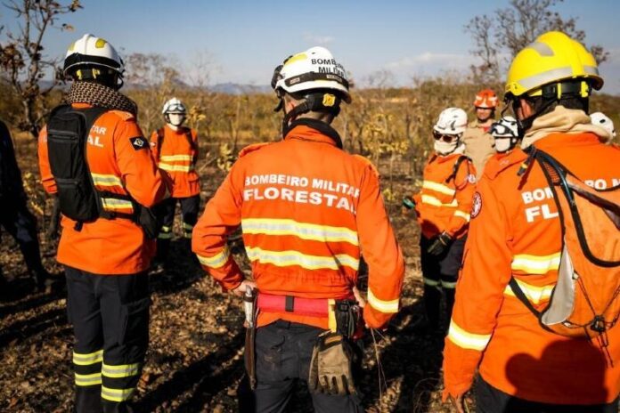 Mato Grosso registra aumento de 335% no número de focos de queimadas