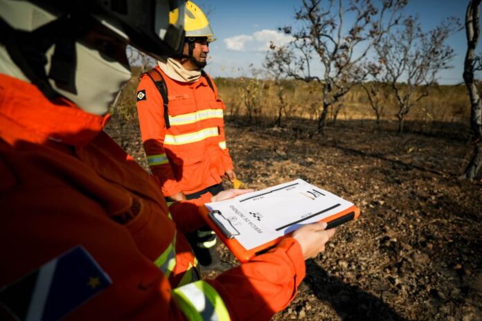 Bombeiros de MT capacitam 16 militares de seis estados em perícia de incêndios florestais