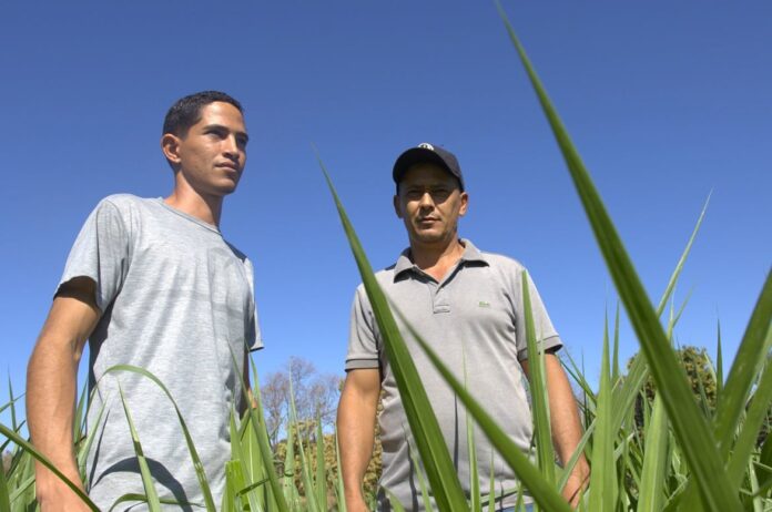 dia dos pais, angical, mateus e o pai Genivaldo, oeste da bahia, família