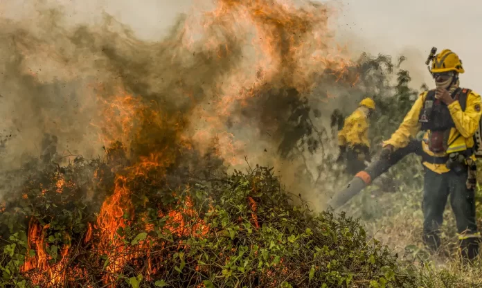 Incêndios no Pantanal