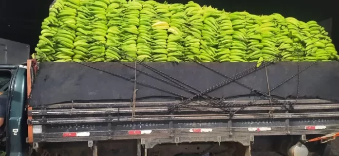 Bananas caminhão polícia federal