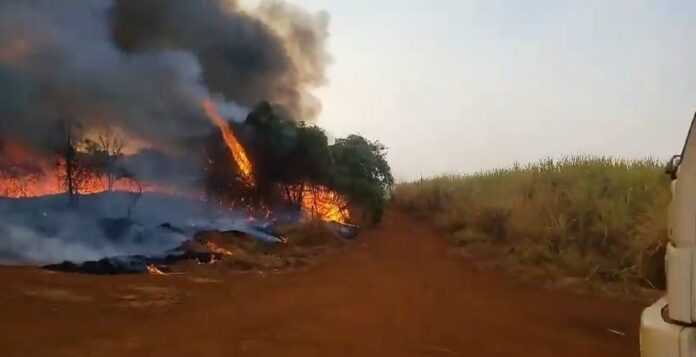 Incêndio em canavial Minas Gerais