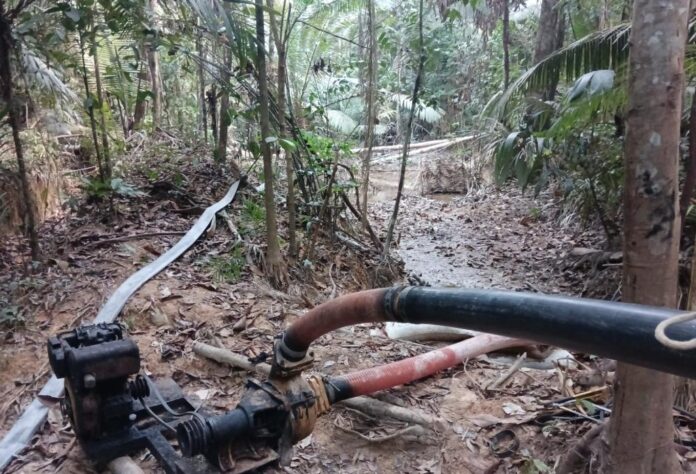 Sesp reforça combate a crimes ambientais com a operação Meio Ambiente Seguro