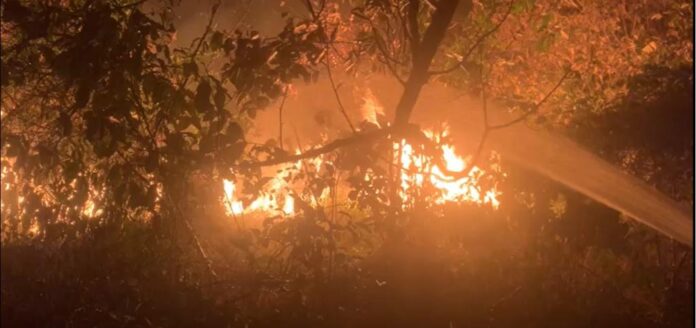 Bombeiros combatem incêndio em vegetação causado por colisão de carreta