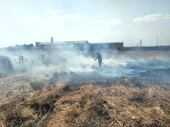 Corpo de Bombeiros extingue incêndio em vegetação de chácara em Primavera do Leste