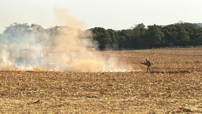 Bombeiros combatem incêndio que se iniciou em caçamba de caminhão e se alastrou por vegetação