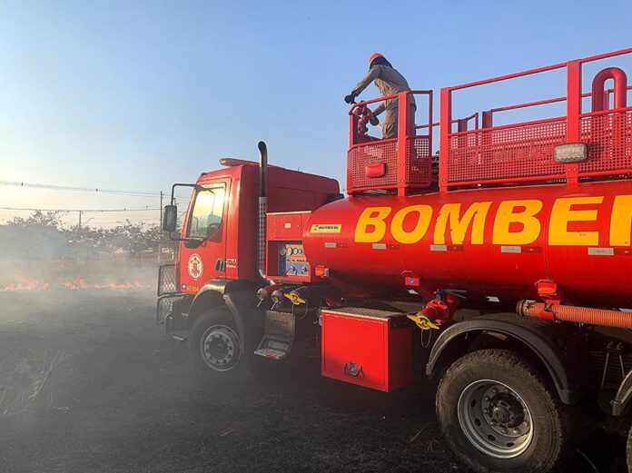 Bombeiros combatem incêndio em vegetação de terreno baldio