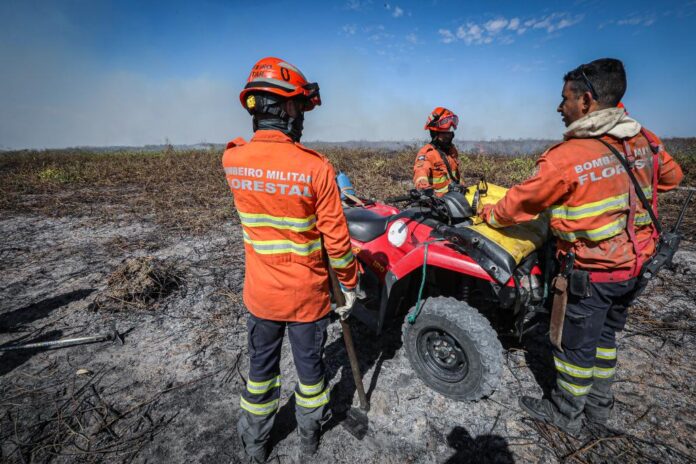 16 pessoas já foram presas por incêndios florestais em 2024 no estado de MT