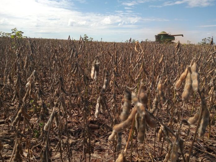 agropecuária