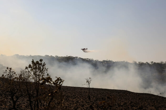 Corpo de jovem é encontrado carbonizado em área de incêndios