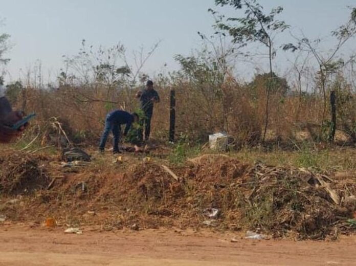 Corpo de mulher com rosto desfigurado é localizado em MT