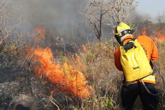 bombeiro apagando queimada, incêndio