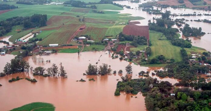 Solo; recuperação; Rio Grande do Sul