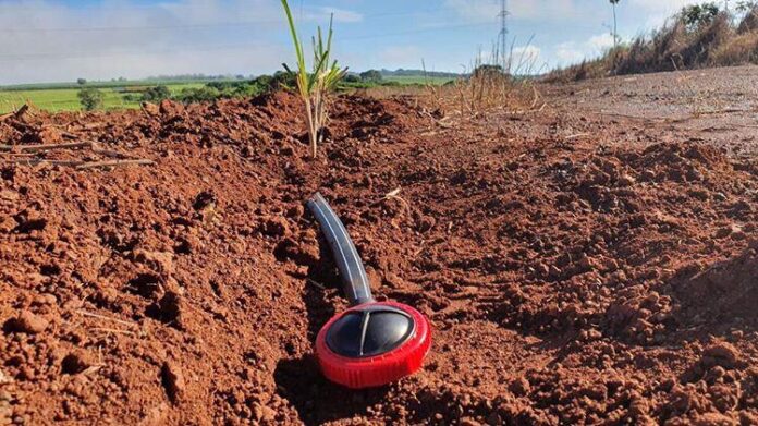 Irrigação por gotejamento pode dobrar produção de canaviais, destacam especialistas