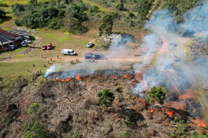 PR suspende por 90 dias queima controlada no campo