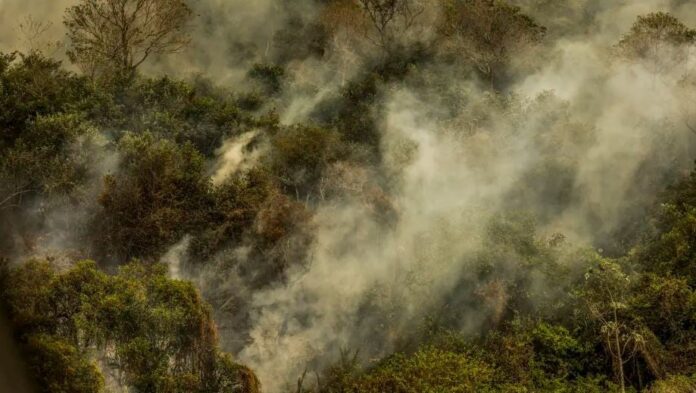 incêndio florestal Rondônia