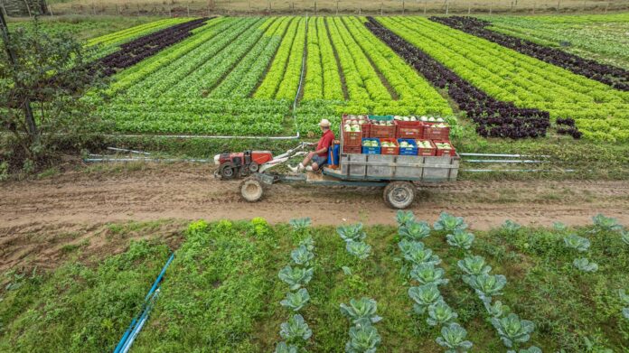 Santa Catarina investe mais de R$ 40 milhões em projetos de apoio aos produtores rurais