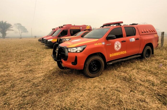 Corpo de Bombeiros utiliza cães farejadores e intensifica busca por jovem desaparecido