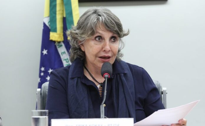 Audiência Pública -Incidência da Agenda 2030 no processo de aprovação da LOA. Dep. Erika Kokay (PT - DF)