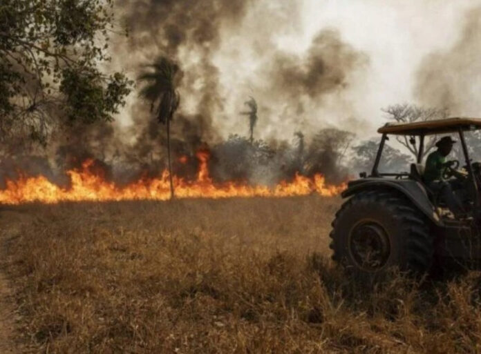 Homem morre carbonizado ao tentar apagar incêndio em fazenda de Confresa