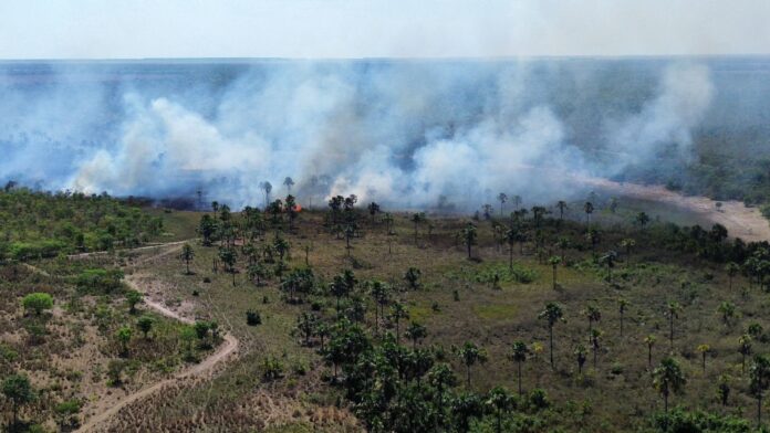 Incêndio florestal atinge área de quase 3 mil ha no Anel da Soja, queimadas, chamas, fogo