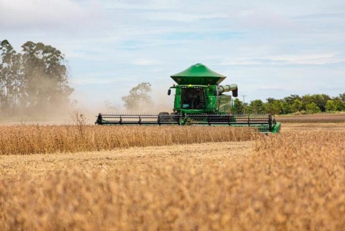 Produção de grãos de MT deve aumentar 4,3% na safra 2024/2025