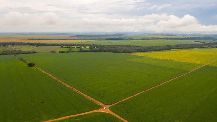 CAR Lavoura com reserva legal em Campo Verde foto Rafael Marques Secom - MT - agropecuária