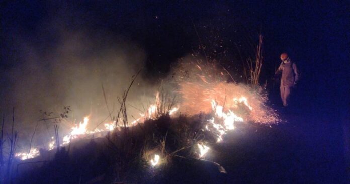 Bombeiros combatem incêndio em área de vegetação às margens da BR-070