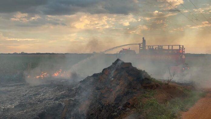 Corpo de Bombeiros combate incêndio em área de vegetação em Campo Verde