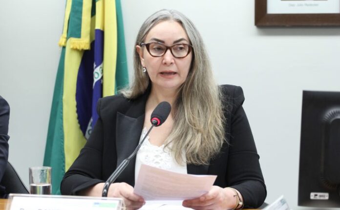 Audiência Pública - Custos na aquisição de grãos na região Sul. Dep. Daniela Reinehr (PL - SC)