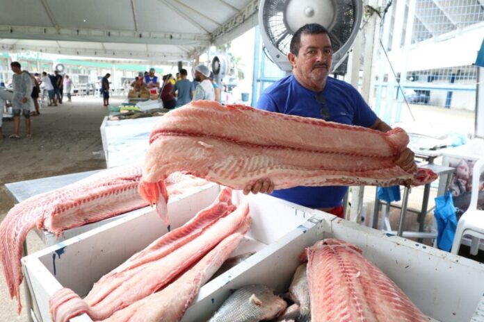 Feirão do Pescado; peixes