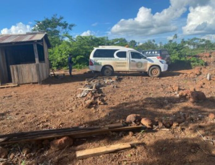 Idosos são encontrados mortos com graves ferimentos de faca no pescoço